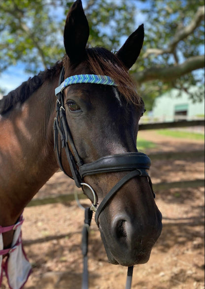 Chevron Paracord Browbands