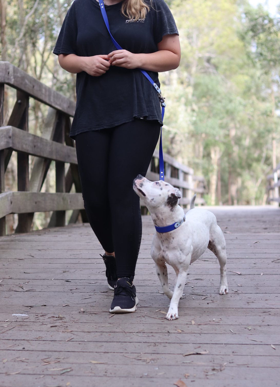 Multipurpose Handsfree dog leashes