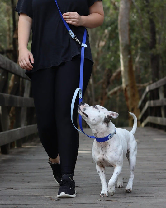 Multipurpose Handsfree dog leashes