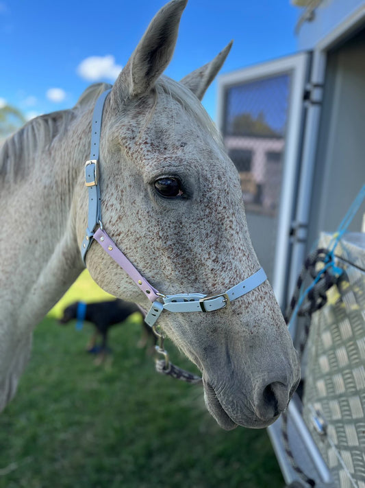 Biothane Horse Halters