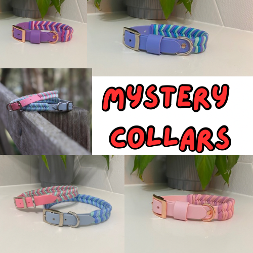 Mystery Combo Chevron Dog Collars