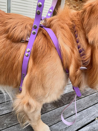 Service Dog Harness with Semi Soft upright handle