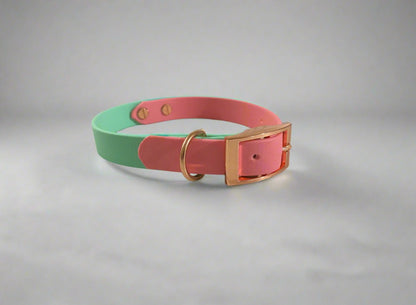 Two Tone BioThane Collar