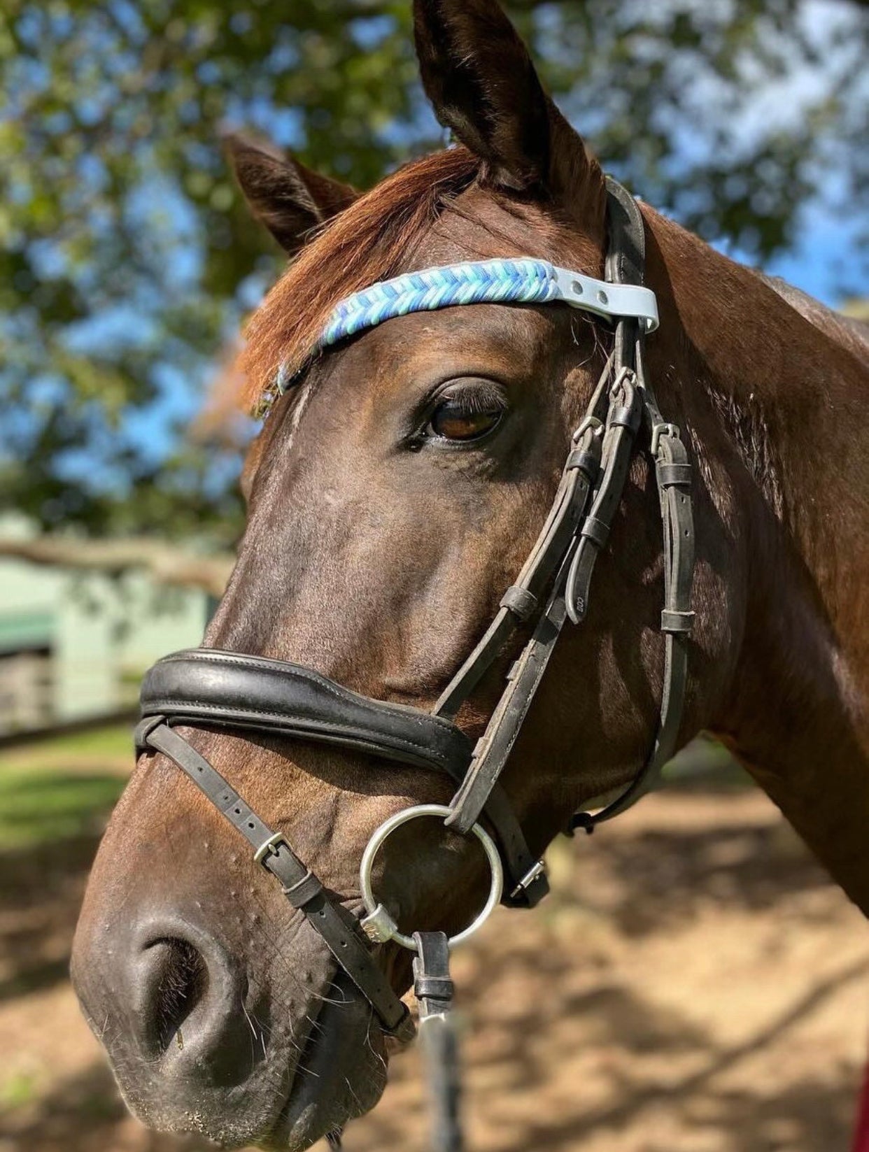 Chevron Paracord Browbands