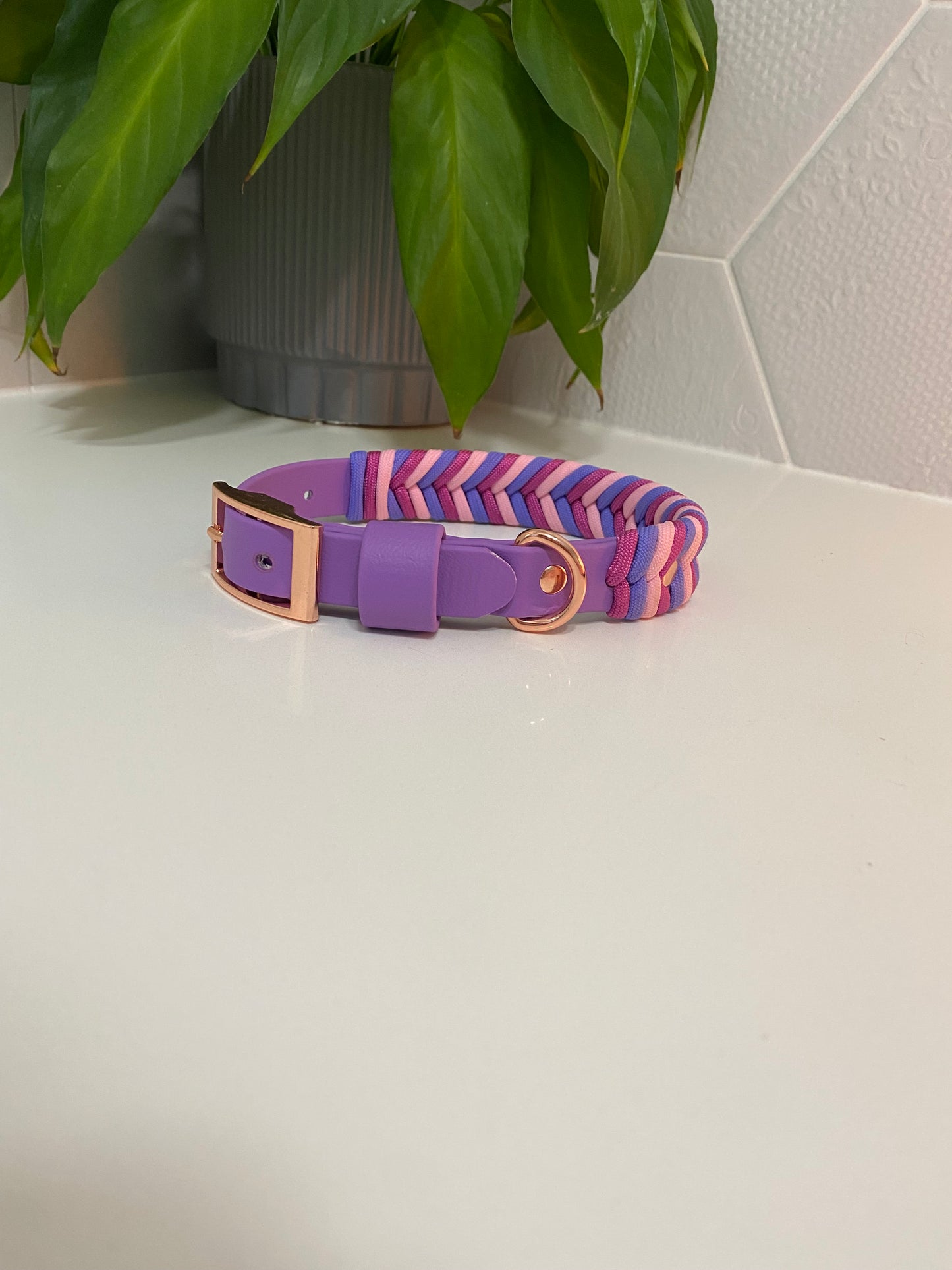 Mystery Combo Chevron Dog Collars