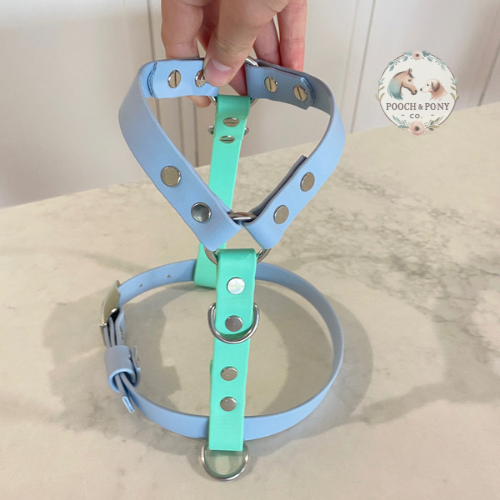 Biothane Adventure Dog Harness