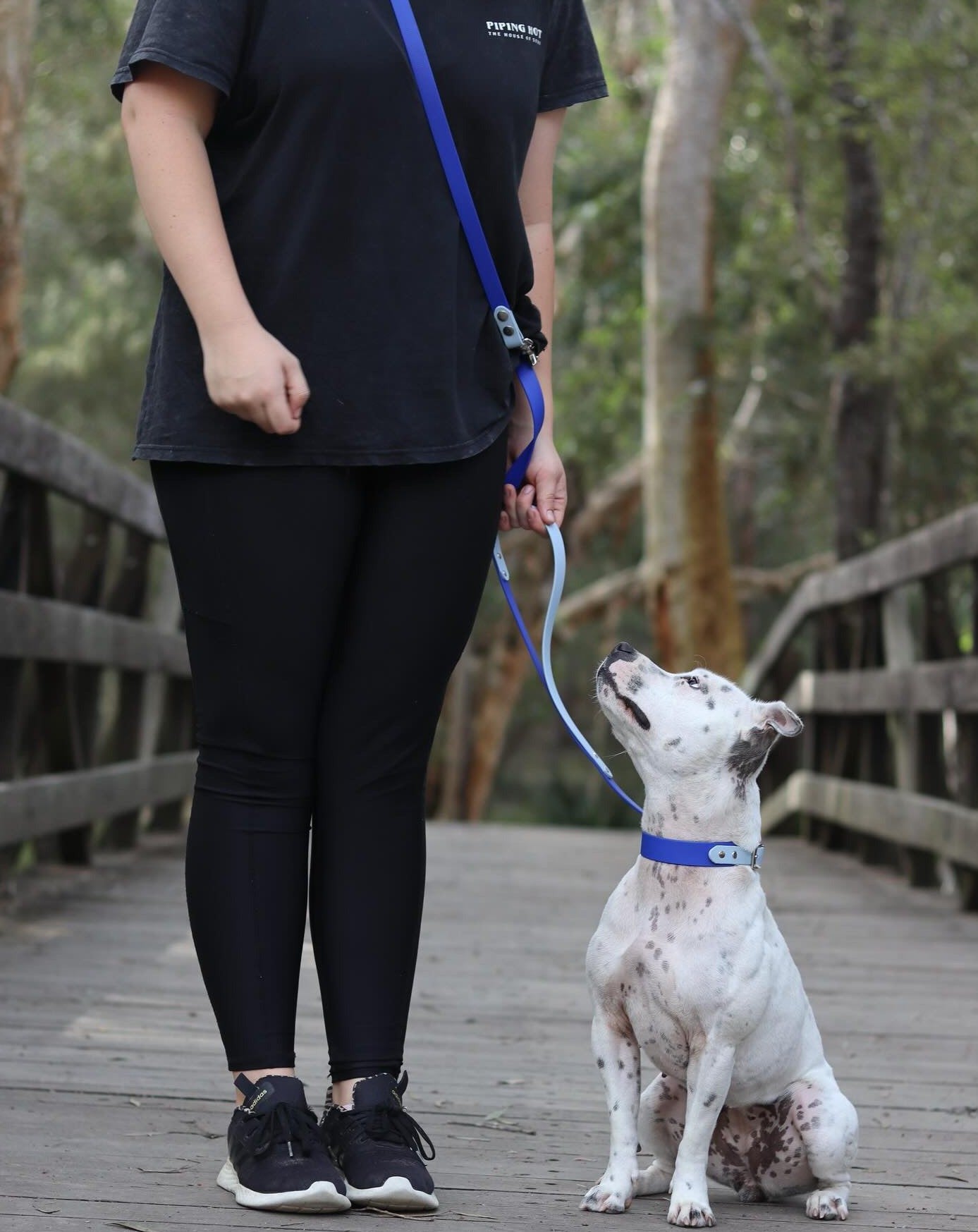 Multipurpose Handsfree dog leashes