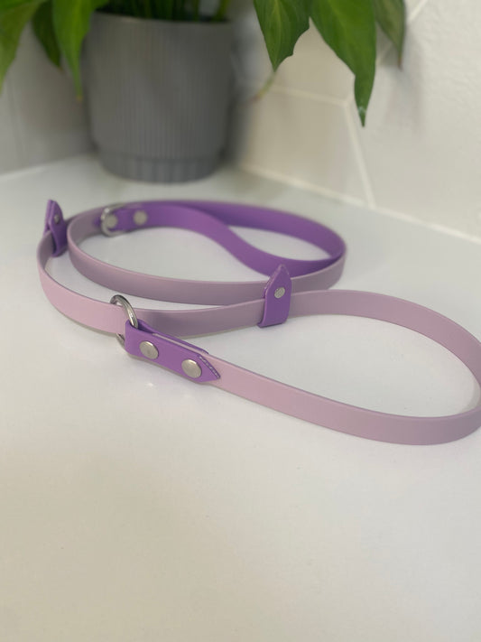 Two Tone Biothane Slip Leash