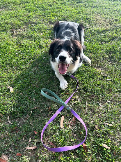 Two Tone Biothane Dog Leash