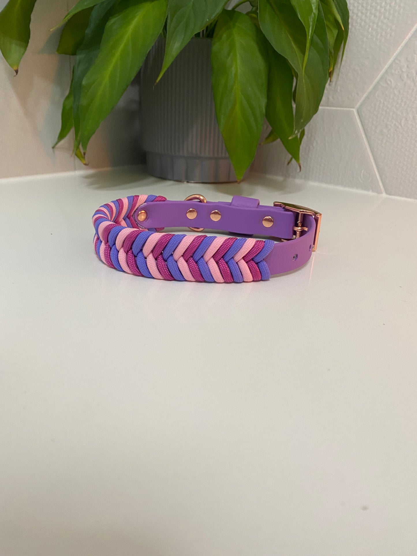 Mystery Combo Chevron Dog Collars