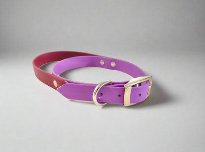 Two Tone BioThane Handle Collar | Flyball Collar | Agility Collar | Sports Collar